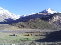 Base Camp