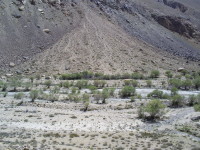 Das Tal